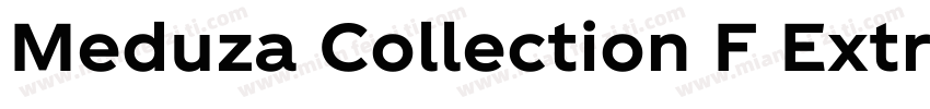 Meduza Collection F Extra Bold 斜体文本字体转换